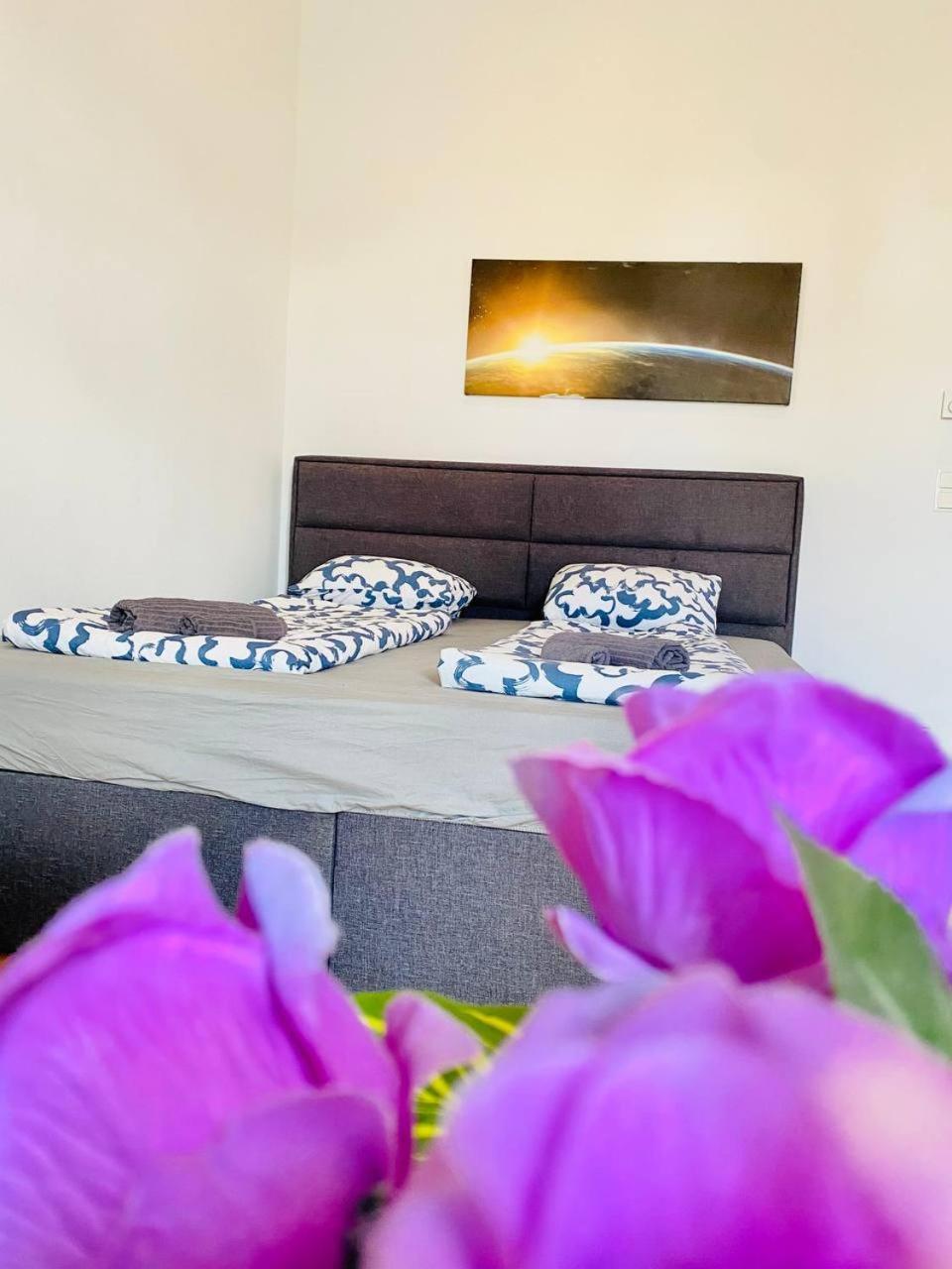 Cozy Rooms In Brigittenau Area Mm23 Wien Eksteriør bilde